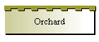 Orchard